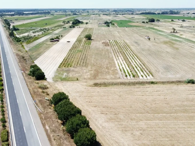 Ferme-T2-a-Almeirim-de-100-m²